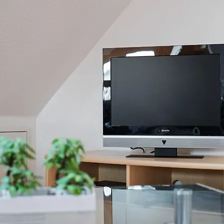 Attic With Garden Access *