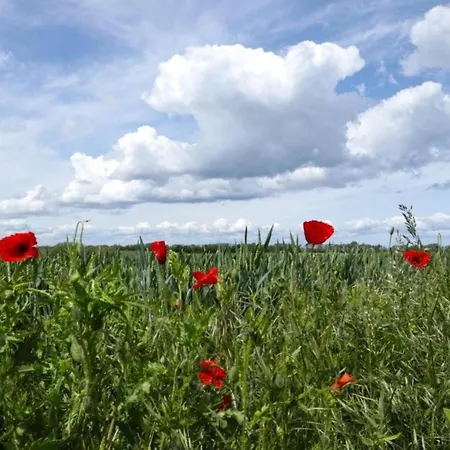 דירה Attic With Garden Access