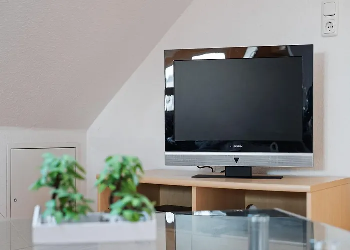 Attic With Garden Access *