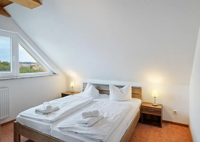 Attic With Garden Access