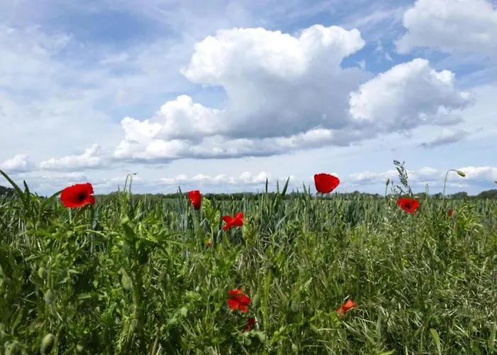 アパート Attic With Garden Access